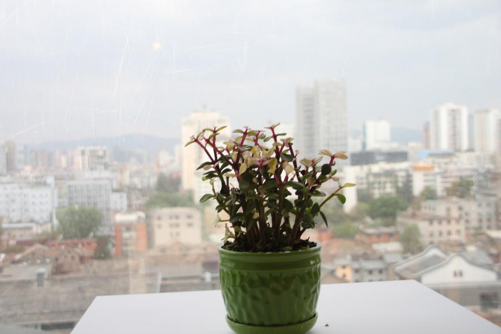 Kunming Cat Nest Female Youth Hostel 外观 照片
