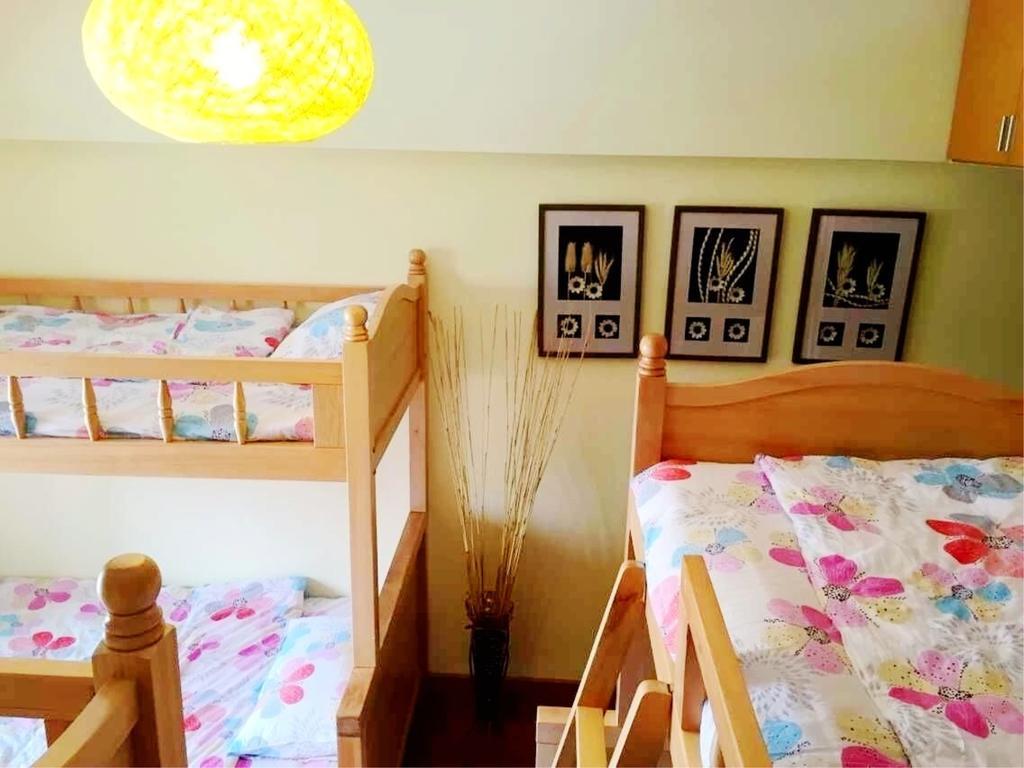 Kunming Cat Nest Female Youth Hostel 外观 照片